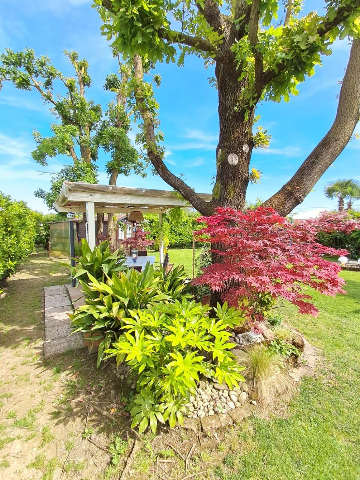 Villa Sabry Turriaco Exteriér fotografie